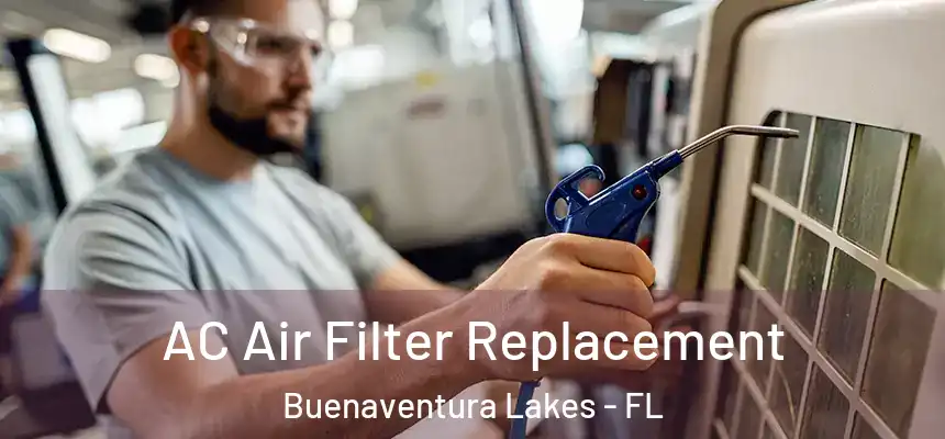 AC Air Filter Replacement Buenaventura Lakes - FL