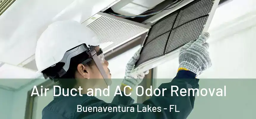  Air Duct and AC Odor Removal Buenaventura Lakes - FL