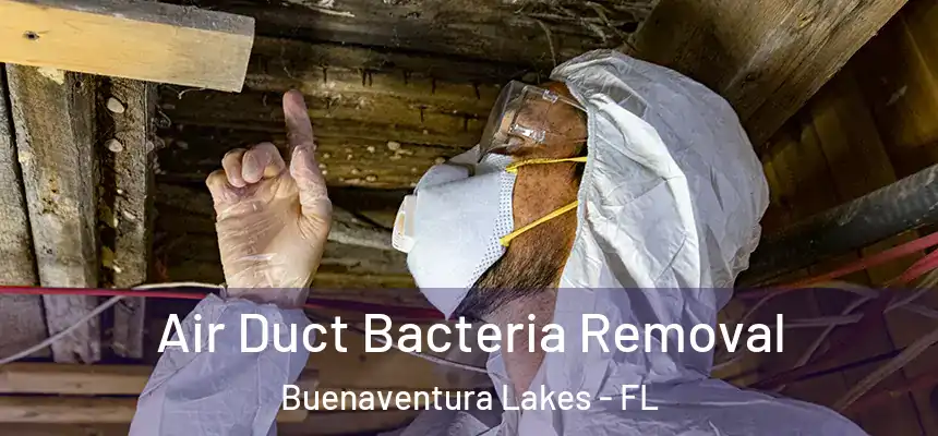  Air Duct Bacteria Removal Buenaventura Lakes - FL