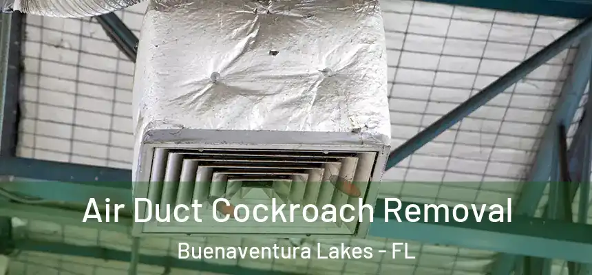 Air Duct Cockroach Removal Buenaventura Lakes - FL