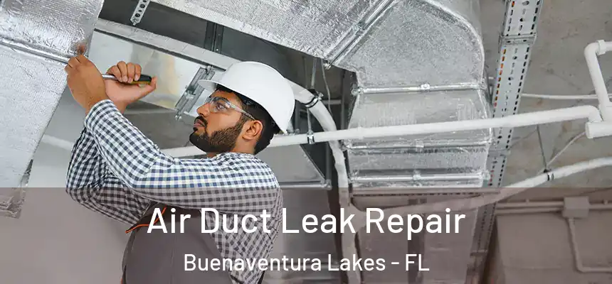  Air Duct Leak Repair Buenaventura Lakes - FL