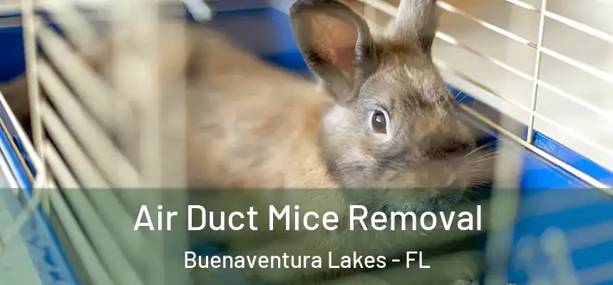  Air Duct Mice Removal Buenaventura Lakes - FL