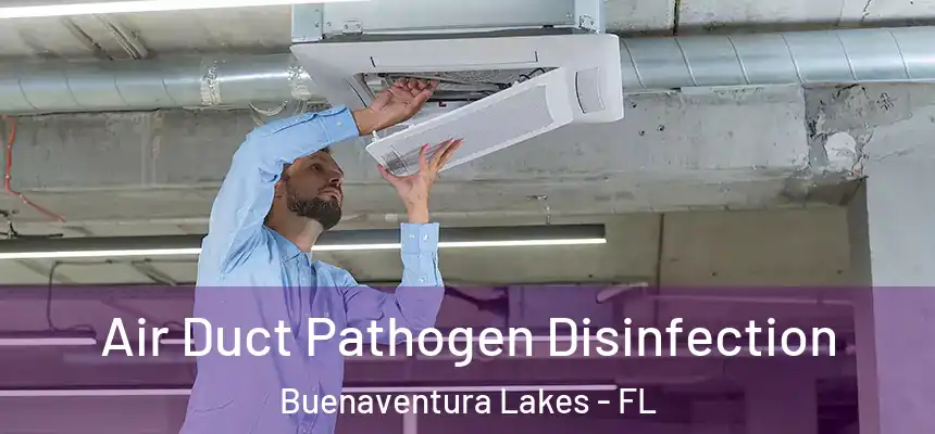 Air Duct Pathogen Disinfection Buenaventura Lakes - FL