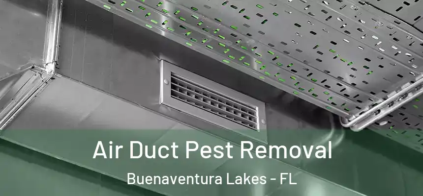  Air Duct Pest Removal Buenaventura Lakes - FL