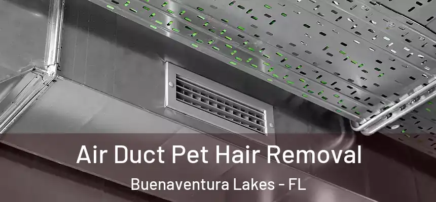 Air Duct Pet Hair Removal Buenaventura Lakes - FL
