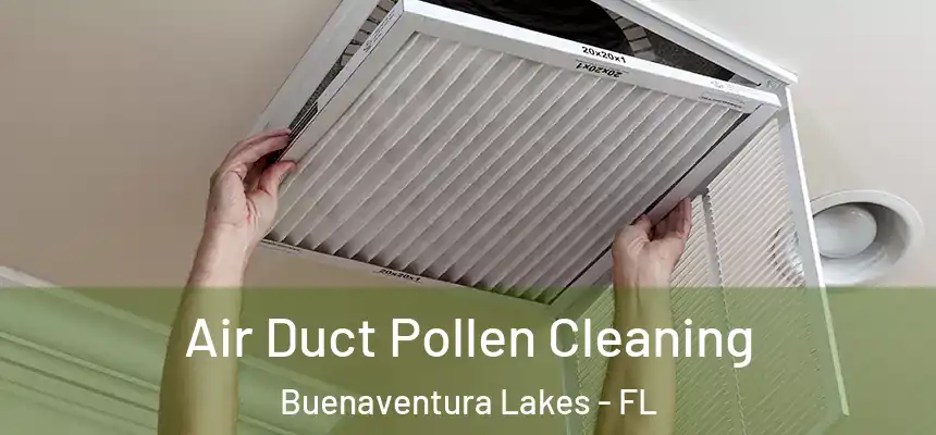  Air Duct Pollen Cleaning Buenaventura Lakes - FL