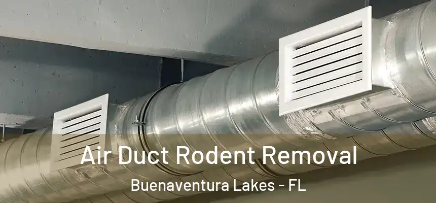  Air Duct Rodent Removal Buenaventura Lakes - FL