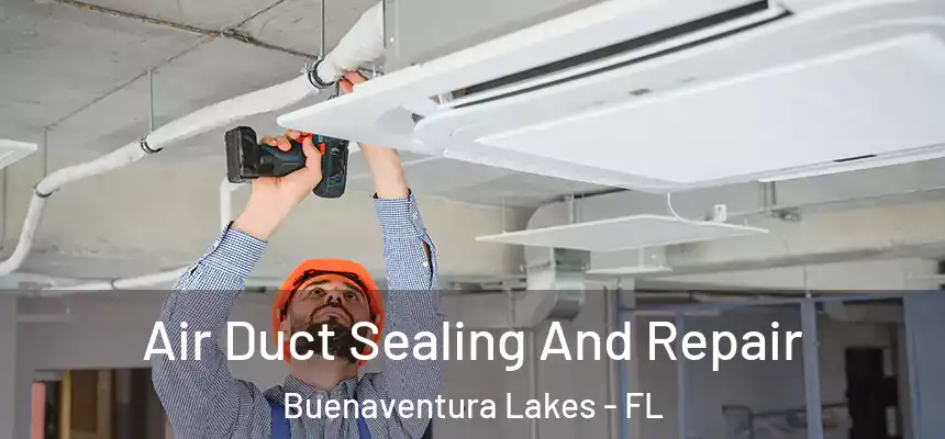  Air Duct Sealing And Repair Buenaventura Lakes - FL