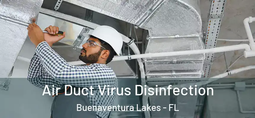 Air Duct Virus Disinfection Buenaventura Lakes - FL