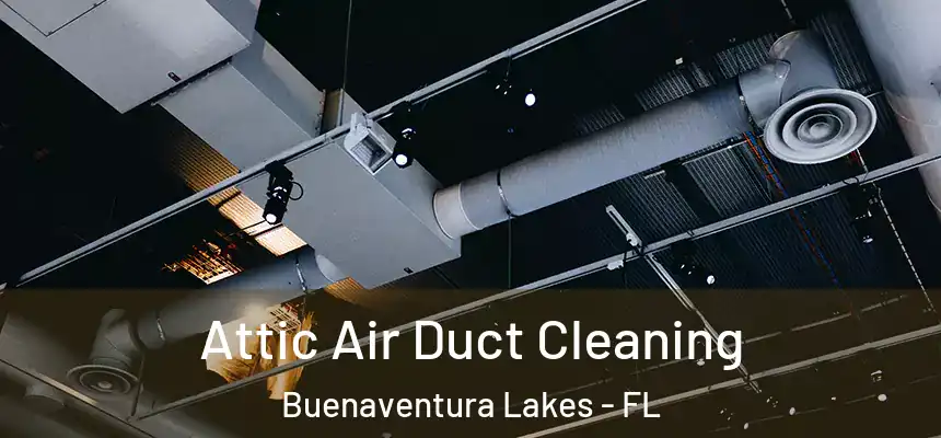 Attic Air Duct Cleaning Buenaventura Lakes - FL