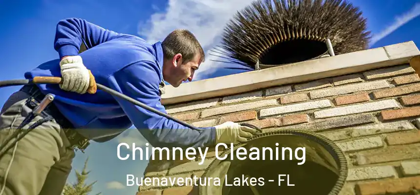 Chimney Cleaning Buenaventura Lakes - FL