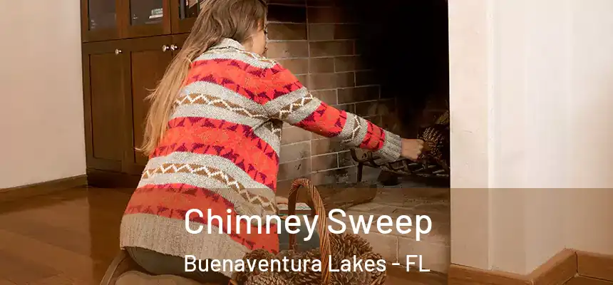  Chimney Sweep Buenaventura Lakes - FL