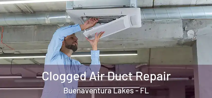  Clogged Air Duct Repair Buenaventura Lakes - FL