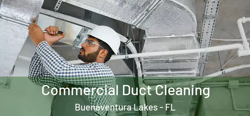 Commercial Duct Cleaning Buenaventura Lakes - FL