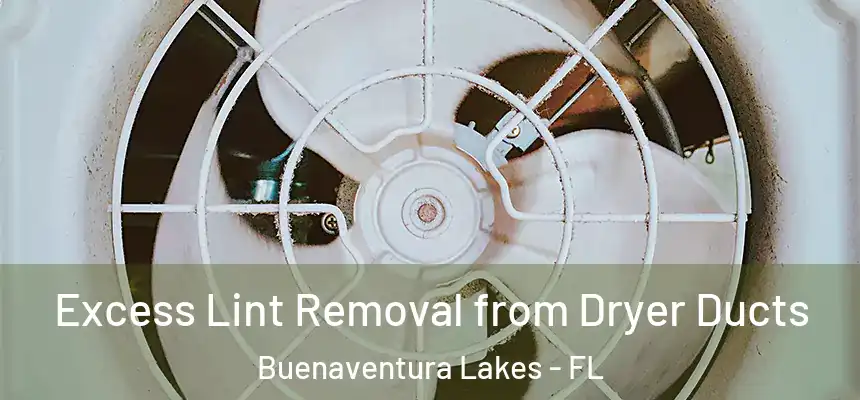 Excess Lint Removal from Dryer Ducts Buenaventura Lakes - FL