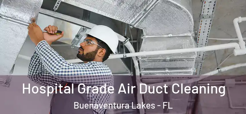 Hospital Grade Air Duct Cleaning Buenaventura Lakes - FL