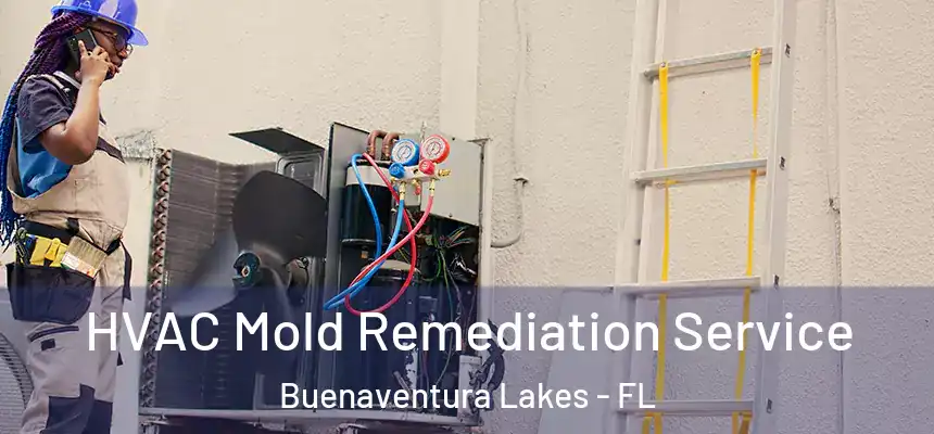  HVAC Mold Remediation Service Buenaventura Lakes - FL