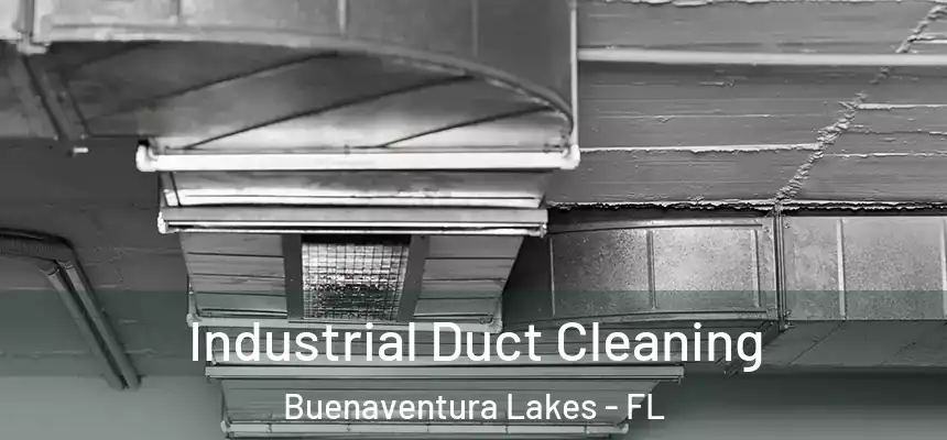 Industrial Duct Cleaning Buenaventura Lakes - FL