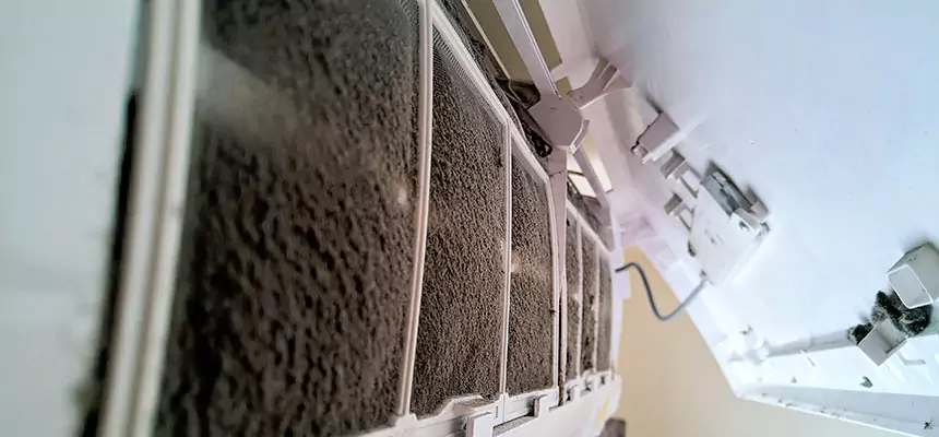 Preventive Air Duct Bacteria Removal in Buenaventura Lakes