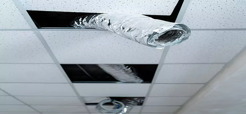 Affordable HVAC Sanitizing After Pest Removal in Buenaventura Lakes