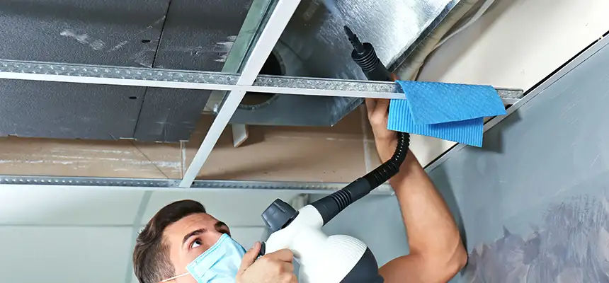 Our Air Duct Rodent Removal Services in Buenaventura Lakes, FL