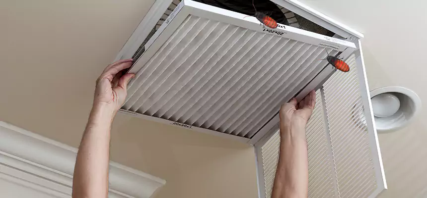 Our Insect Removal from Air Ducts Services in Buenaventura Lakes, FL