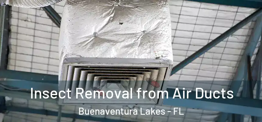  Insect Removal from Air Ducts Buenaventura Lakes - FL