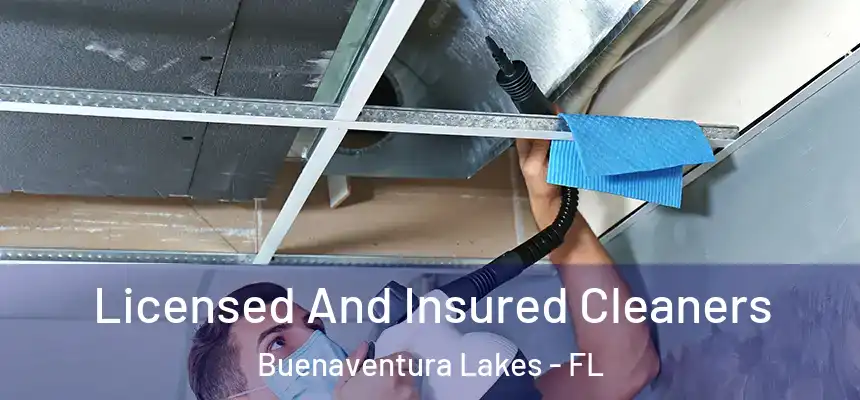  Licensed And Insured Cleaners Buenaventura Lakes - FL