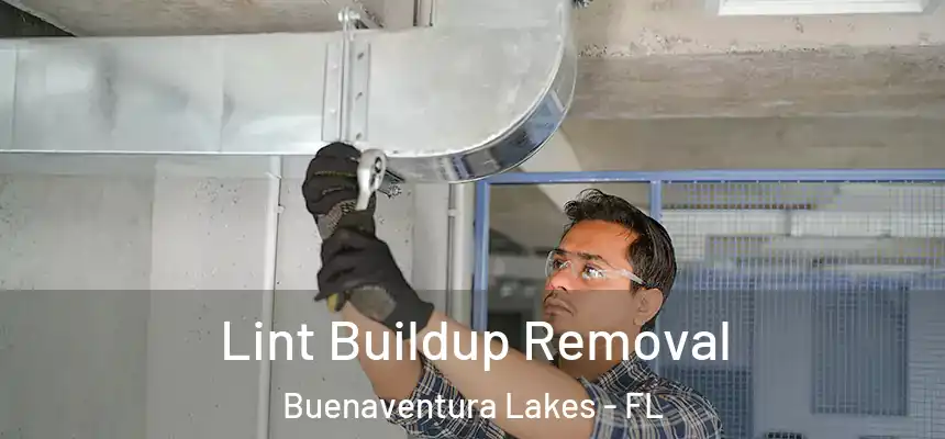 Lint Buildup Removal Buenaventura Lakes - FL