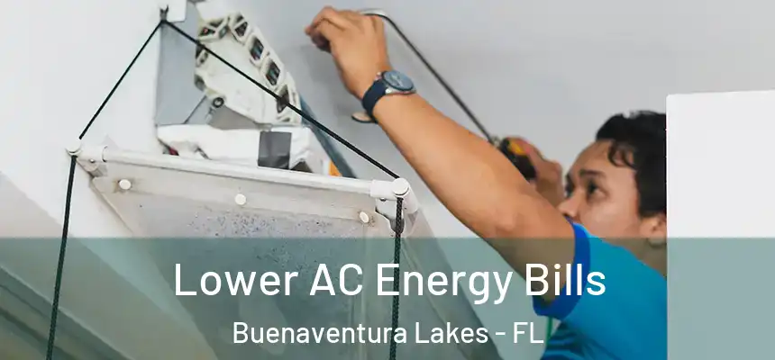  Lower AC Energy Bills Buenaventura Lakes - FL
