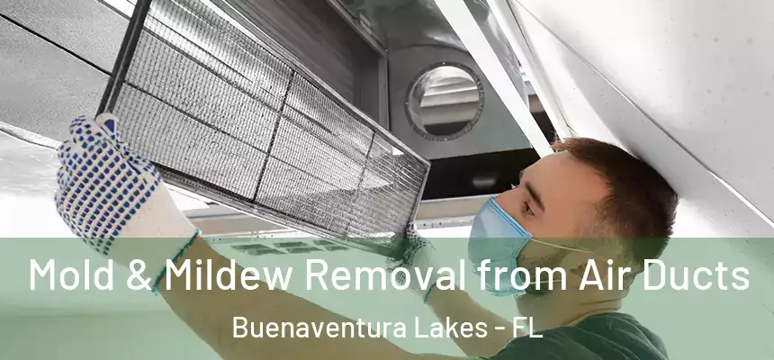 Mold & Mildew Removal from Air Ducts Buenaventura Lakes - FL