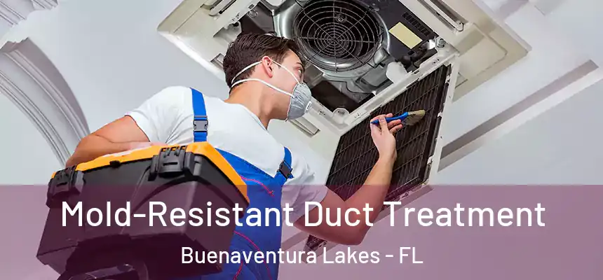 Mold-Resistant Duct Treatment Buenaventura Lakes - FL