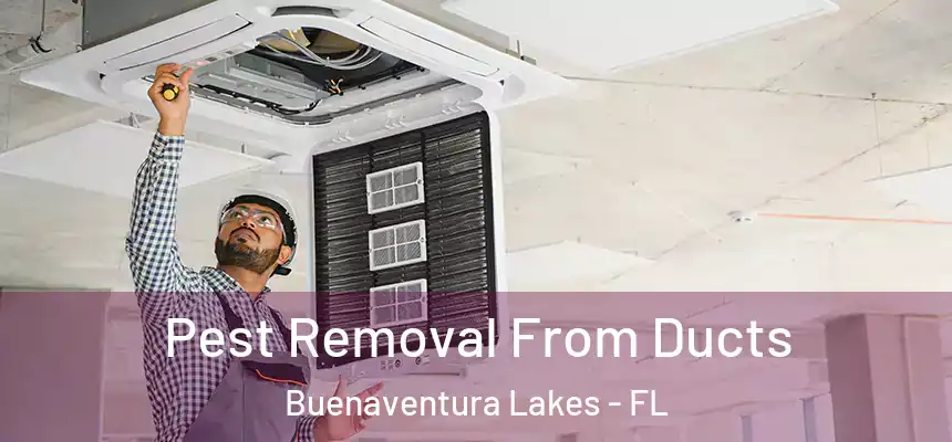  Pest Removal From Ducts Buenaventura Lakes - FL