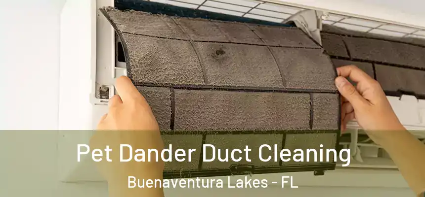 Pet Dander Duct Cleaning Buenaventura Lakes - FL