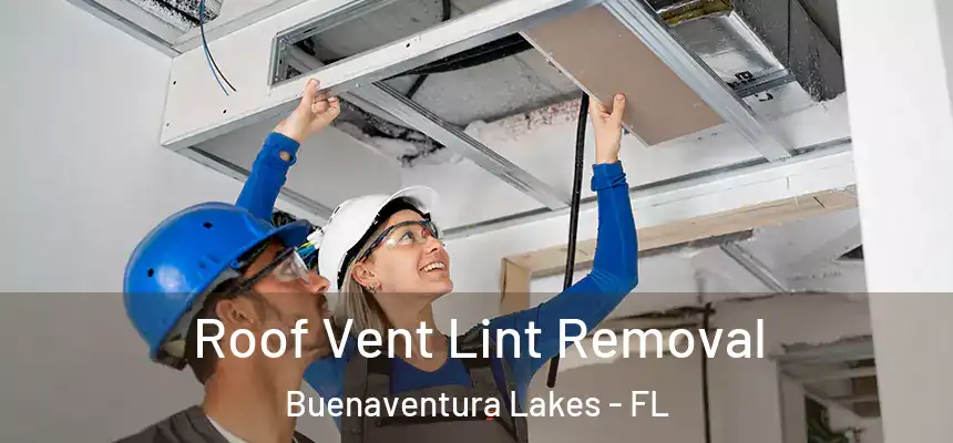 Roof Vent Lint Removal Buenaventura Lakes - FL