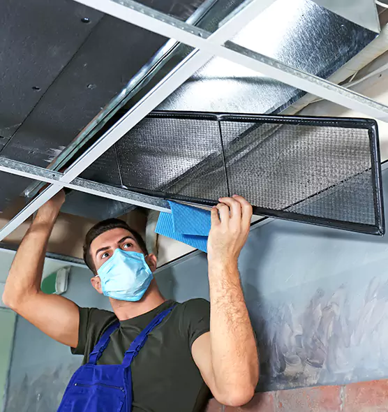 About Air Duct Bacteria Removal in Buenaventura Lakes
