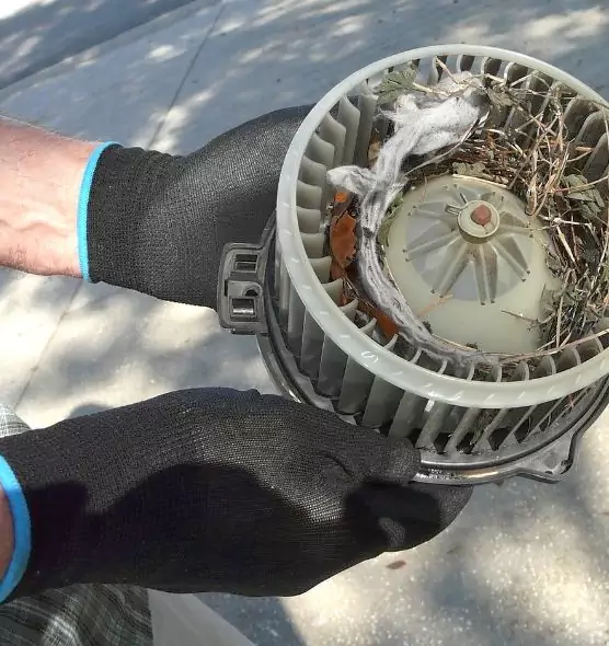 About Air Duct Rat Removal in Buenaventura Lakes, FL