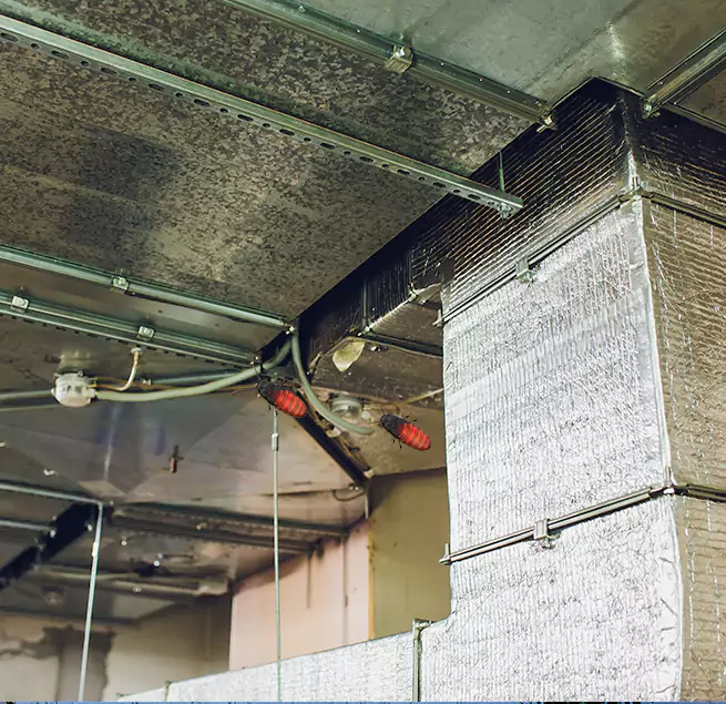 Why Homeowners & Businesses Trust Us in Buenaventura Lakes, FL?