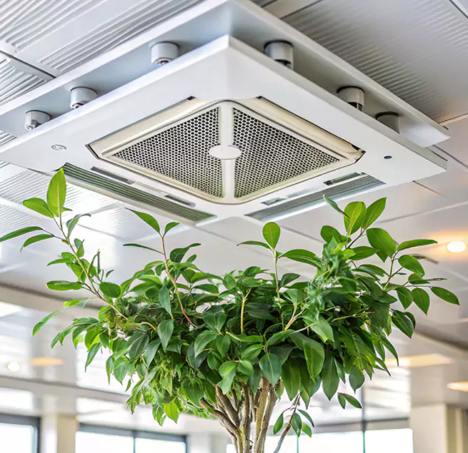 Why Homeowners & Businesses Trust Us in Buenaventura Lakes, FL