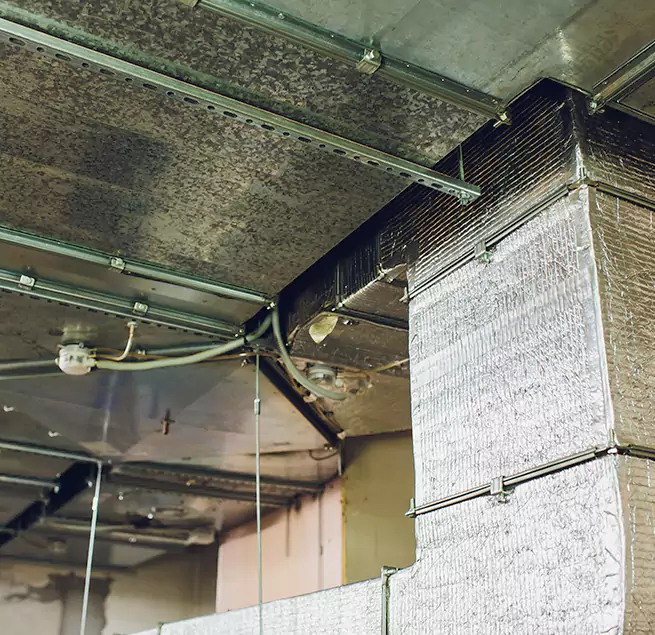 Why Homeowners & Businesses Trust Us in Buenaventura Lakes, FL?