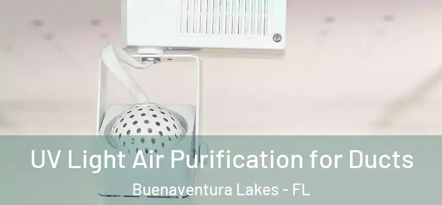  UV Light Air Purification for Ducts Buenaventura Lakes - FL